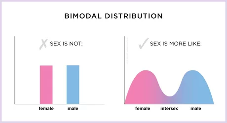 binary bimodal sex graph.jpg