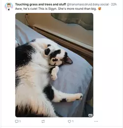 1742662675472.png