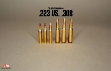 223vs308hero2.jpg