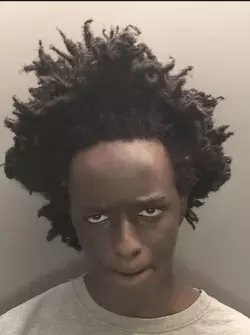 1742739046704.png
