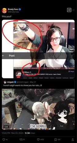 1742765306006.png