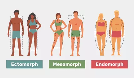 body-type_38055.webp body-type_38055.webp