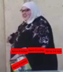 1742767987361.png