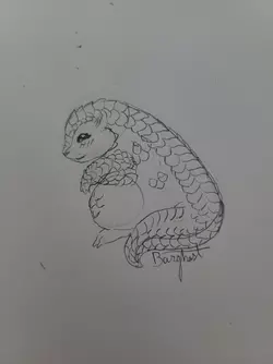 20250323_173726.jpg