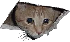 rdy2go_lol.png
