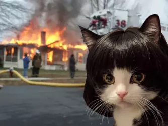 fire interesting.png