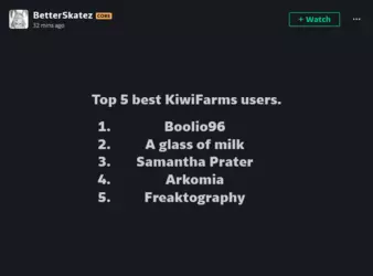 Screenshot 2025-03-24 at 11-33-16 BetterSkatez - Hobbyist General Artist DeviantArt.png