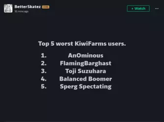 Screenshot 2025-03-24 at 11-33-28 BetterSkatez - Hobbyist General Artist DeviantArt.png