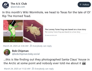 toad.jpg