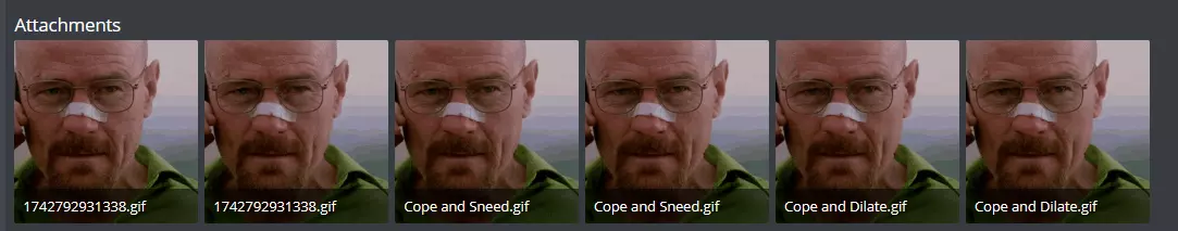 1742793350569.png