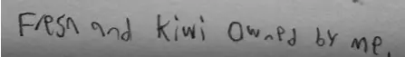 hyroglyphics.png