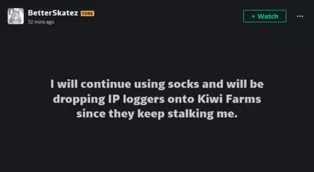 Screenshot 2025-03-24 at 15-42-36 BetterSkatez - Hobbyist General Artist DeviantArt.png