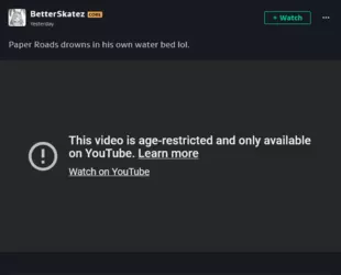 Screenshot 2025-03-25 at 00-14-35 BetterSkatez - Hobbyist General Artist DeviantArt.png