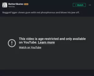 Screenshot 2025-03-25 at 00-14-49 BetterSkatez - Hobbyist General Artist DeviantArt.png
