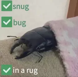 1000009341.jpg