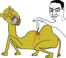 The straw that broke the Camel's b-ACK.jpg