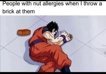 1000033670.png