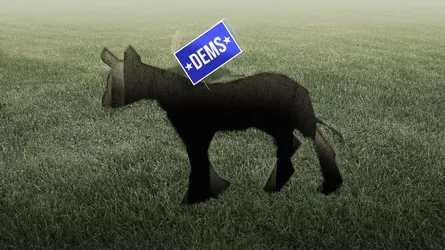 dems01.jpg