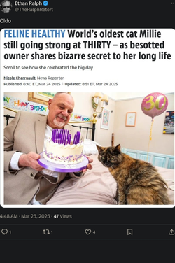 Screenshot_20250324_235345_Firefox.jpg