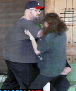 Wingsofdiscipline.gif