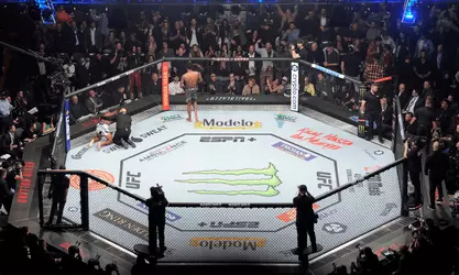 UFC-272.png