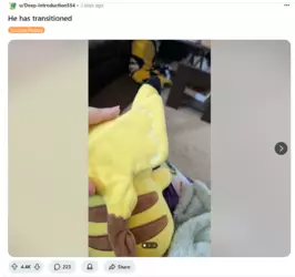 pikachu tail surgery.PNG