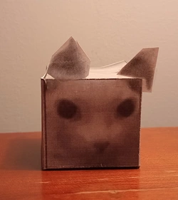 Bingus.jpg