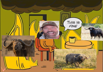 Tim Sundle This Is Fine.jpg