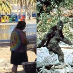 same energy.jpg