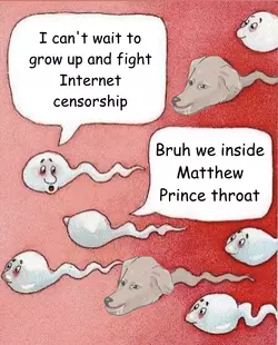 mutt_cells.png