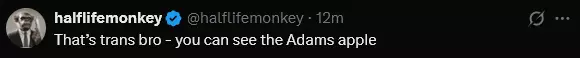 1742956584698.png