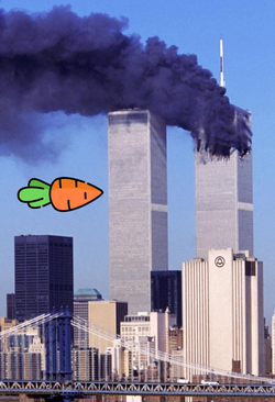 1000033766.jpg
