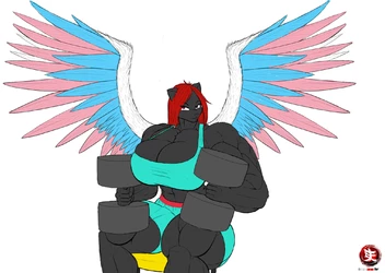 b.jpg