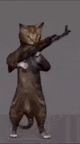1000033777.gif
