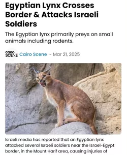 957971.jpg