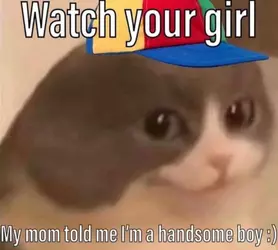 1729658097307.png