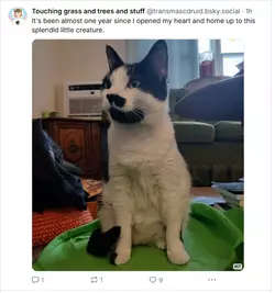 1743030225321.png 1743030225321.png