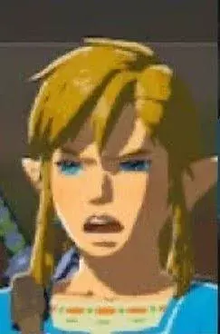 all-whats-the-best-reaction-face-link-has-made-throughout-v0-jf044ux5q93c1.webp