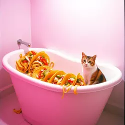 image_large_ffda47b1-d9c1-479d-9267-a1e172a62dd6.jpeg