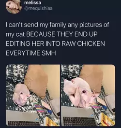 c8cc976085db7e62.jpg