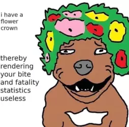 1743062052427.png