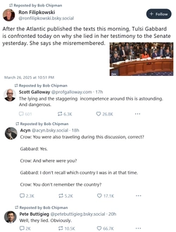 gabbard.jpg