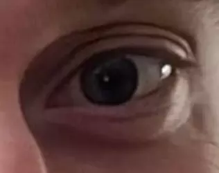 1743105565852.png