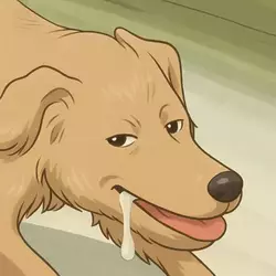 1743109404891.png