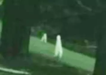 1743199682811.png