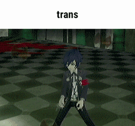 trans.gif