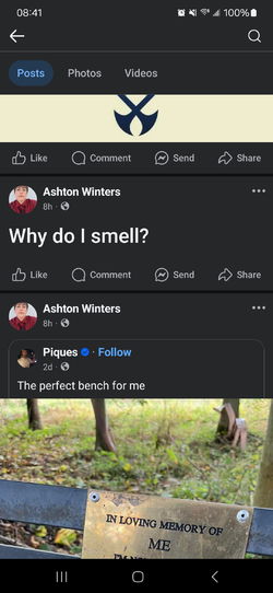 Screenshot_20250329_084123_Facebook.jpg
