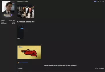 Crimson Chin.PNG