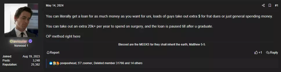 Loan 1.PNG