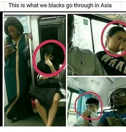 1743309565866106.jpg